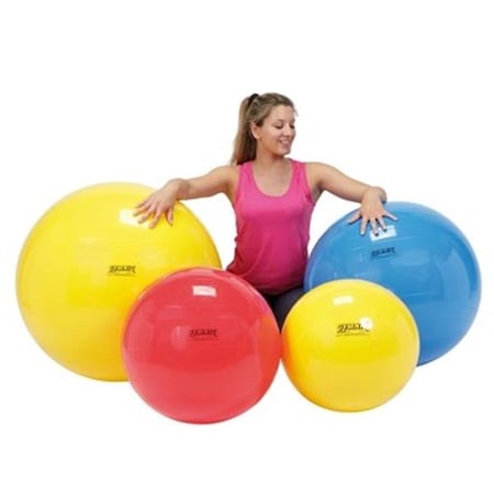 Fabrication Enterprises Fabrication Enterprises 30-1709 30 in. Physiogymnic Molded Vinyl Inflatable Ball; Red 30-1709
